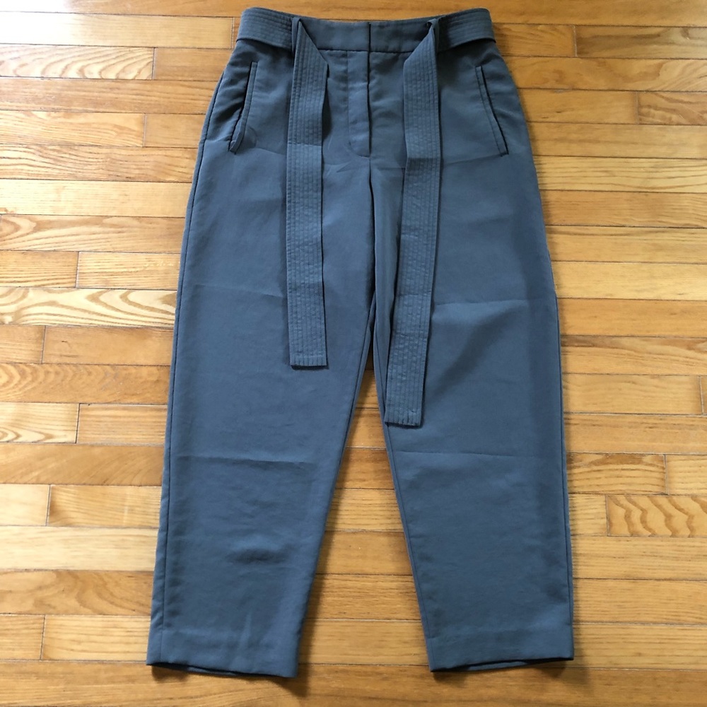 Wilfred Jallade Pants from Aritzia in Sage Green